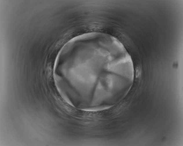 X0000113751011200910211142