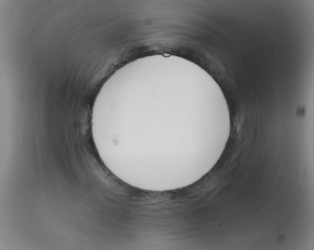 X0000113751012200910211142