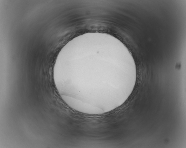 X0000113751013200910211142