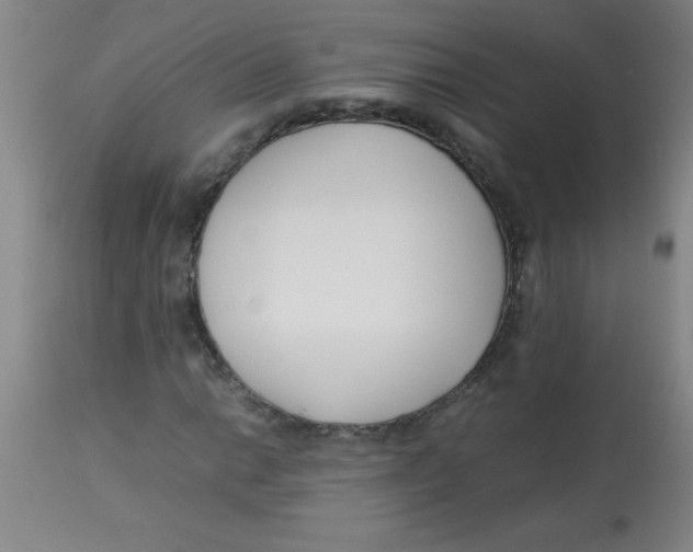 X0000113751014200910211142