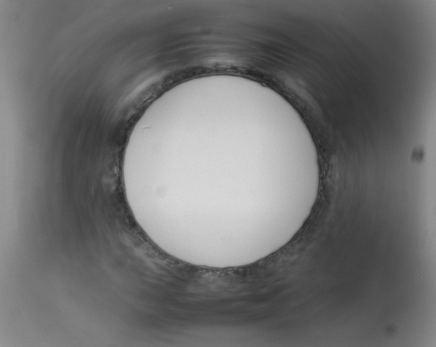 X0000113751015200910211142