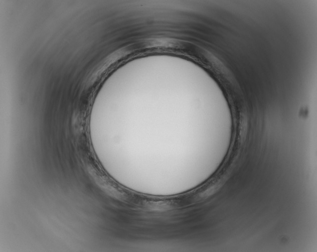 X0000113751017200910211142