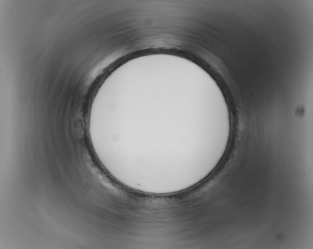 X0000113751018200910211142