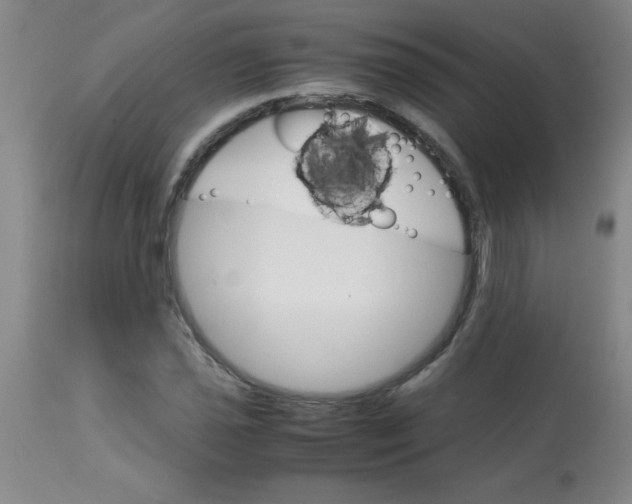 X0000113751021200910211142