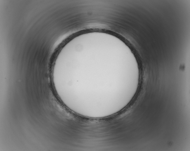 X0000113751022200910211142