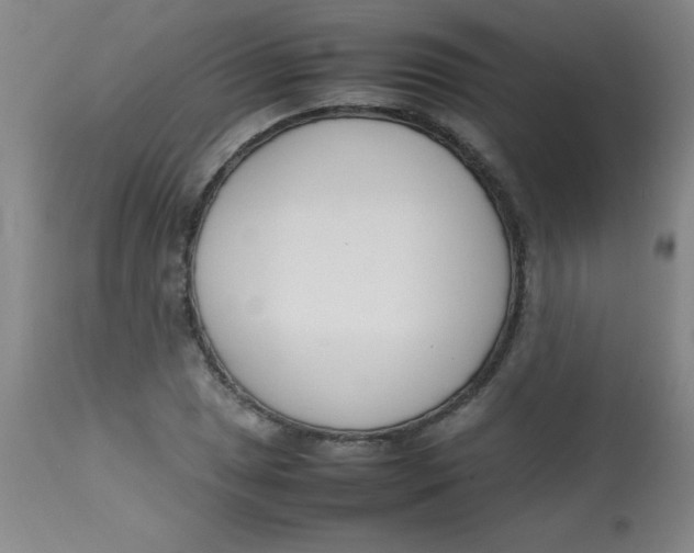 X0000113751025200910211142