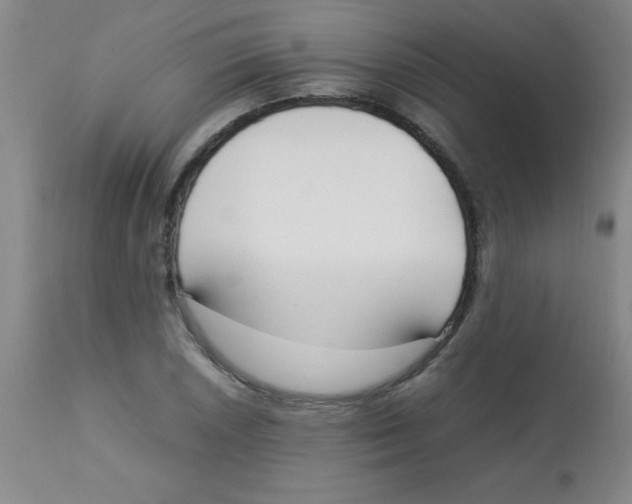 X0000113751026200910211142