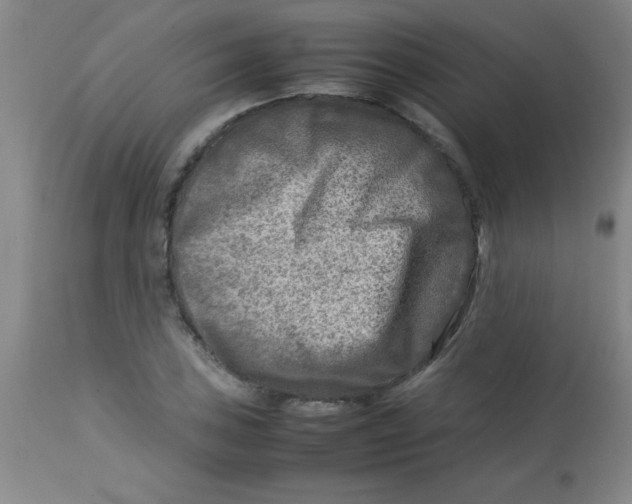 X0000113751027200910211142