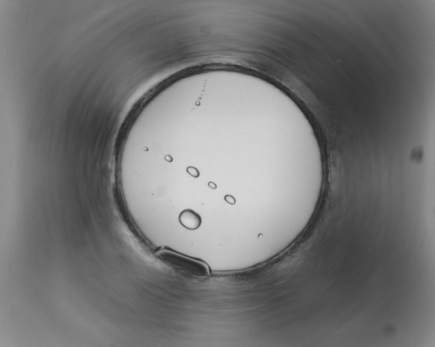 X0000113751028200910211142