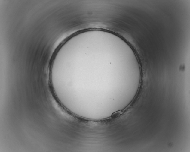 X0000113751032200910211142