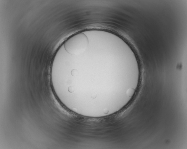 X0000113751033200910211142