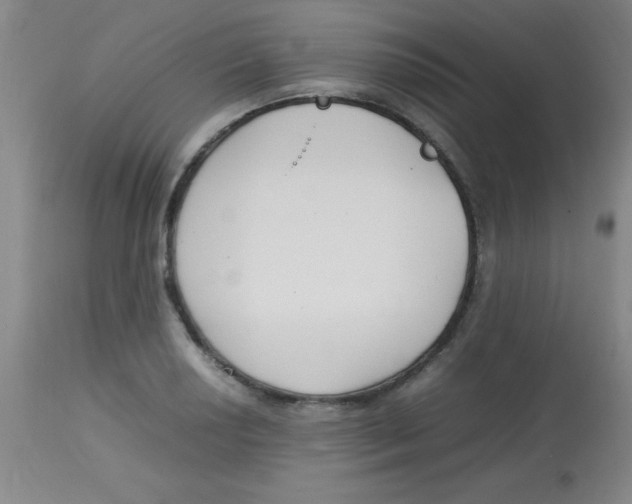 X0000113751034200910211142