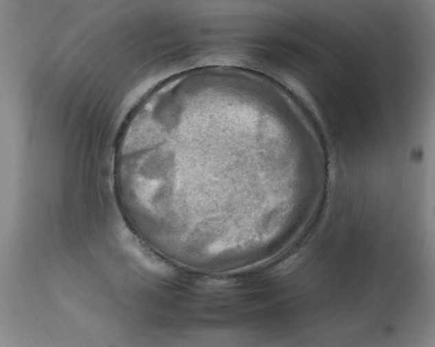 X0000113751035200910211142