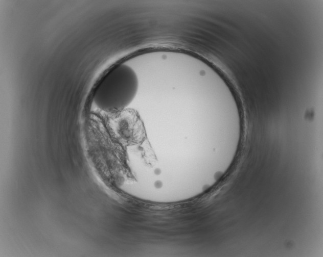 X0000113751037200910211142