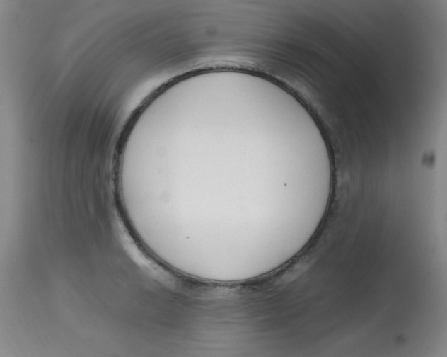 X0000113751038200910211142