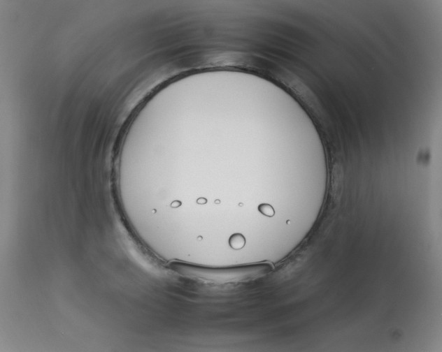 X0000113751039200910211142