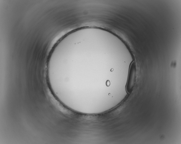 X0000113751040200910211142