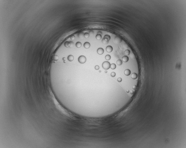 X0000113751041200910211142