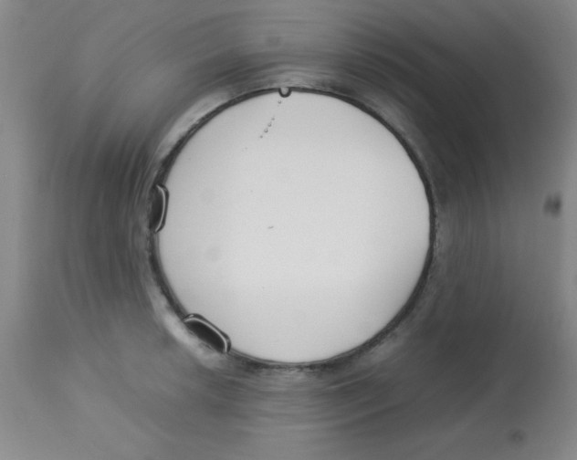 X0000113751042200910211142