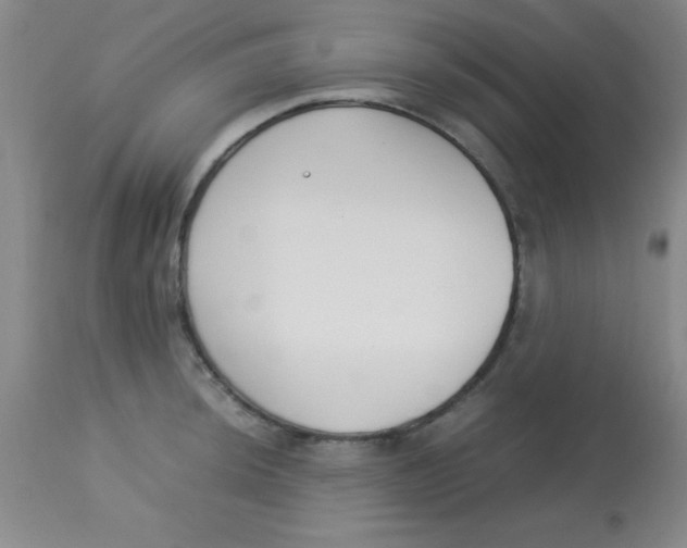 X0000113751044200910211142