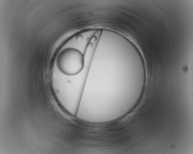 X0000113751045200910211142