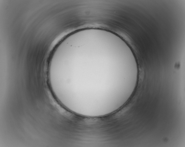 X0000113751046200910211142