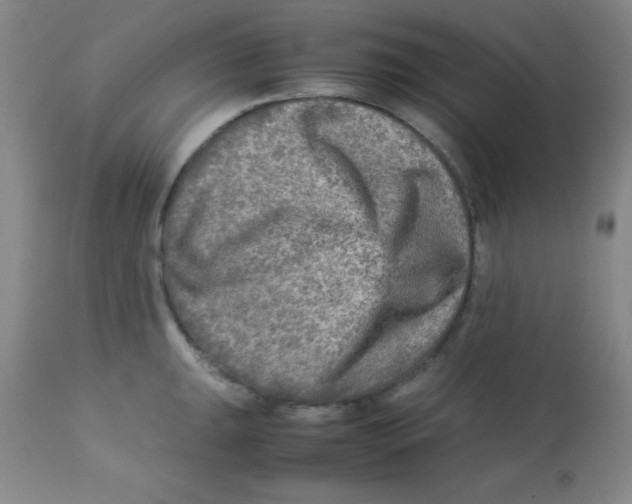 X0000113751047200910211142