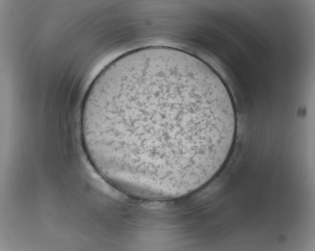 X0000113751048200910211142