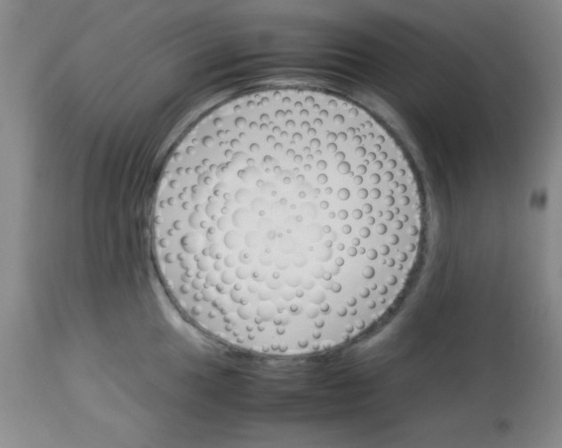 X0000113751049200910211142