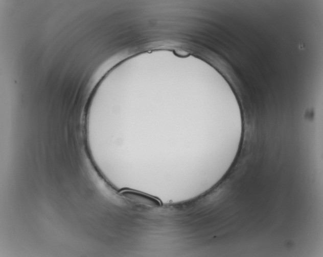 X0000113751050200910211142