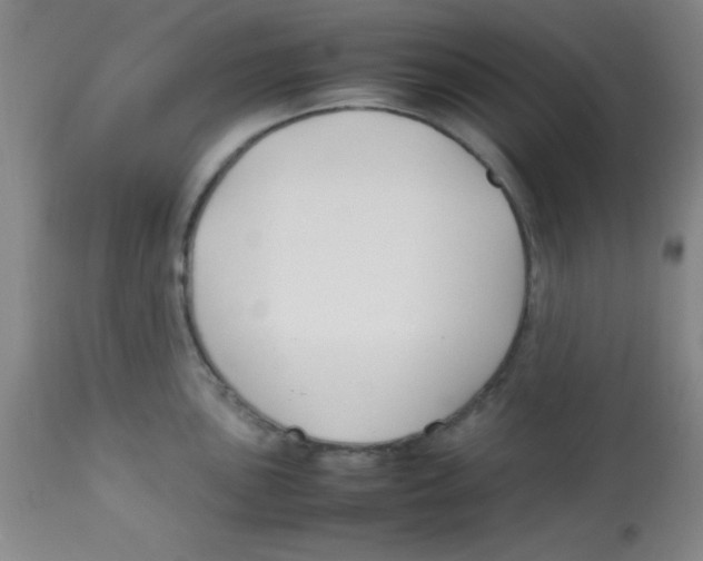 X0000113751051200910211142