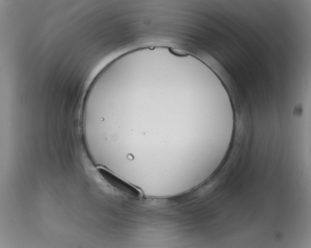 X0000113751052200910211142