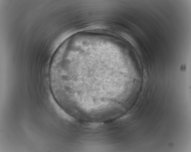 X0000113751055200910211142