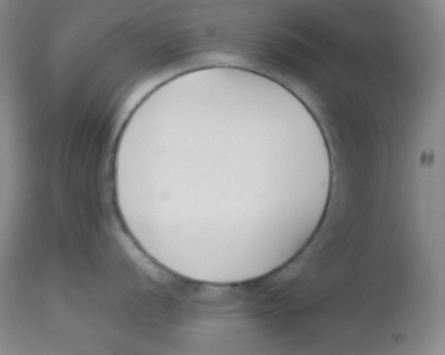 X0000113751056200910211142