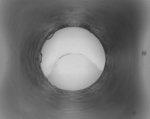 X0000113751057200910211141