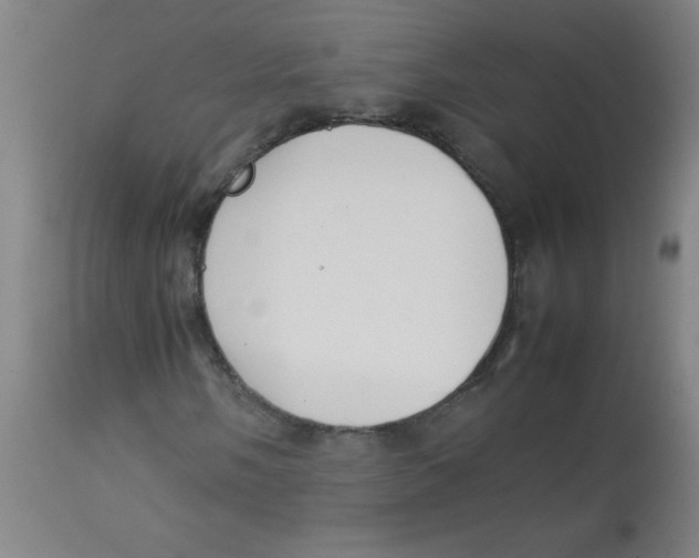 X0000113751058200910211141