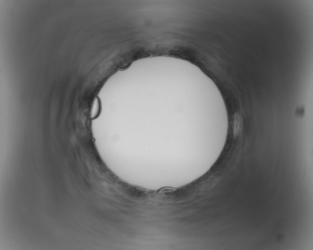 X0000113751059200910211141