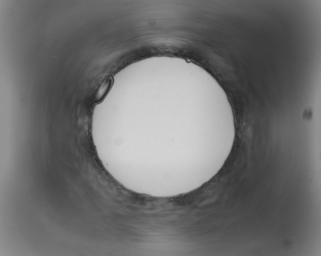 X0000113751061200910211141