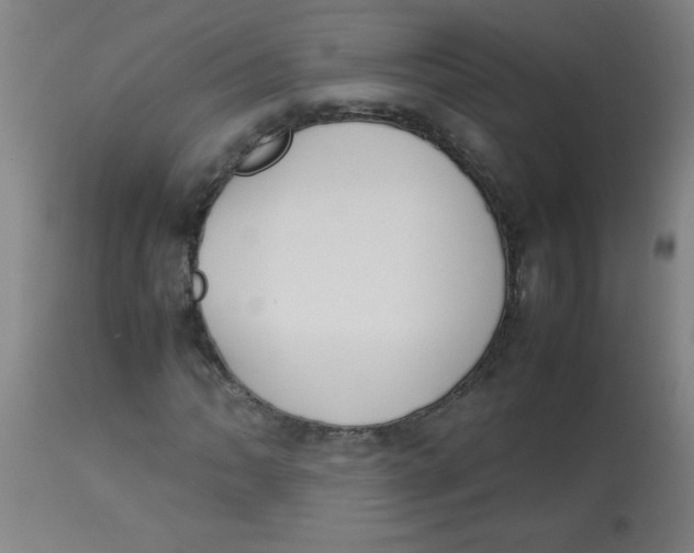 X0000113751062200910211141