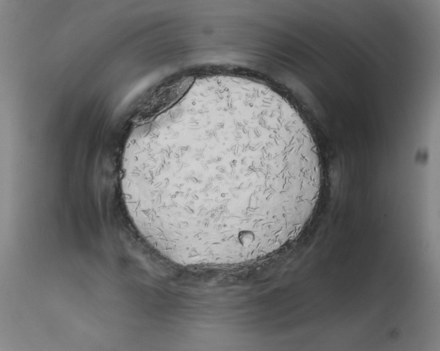 X0000113751064200910211141
