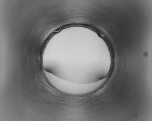 X0000113751065200910211141