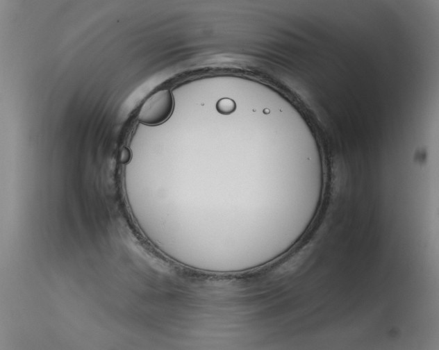 X0000113751066200910211141