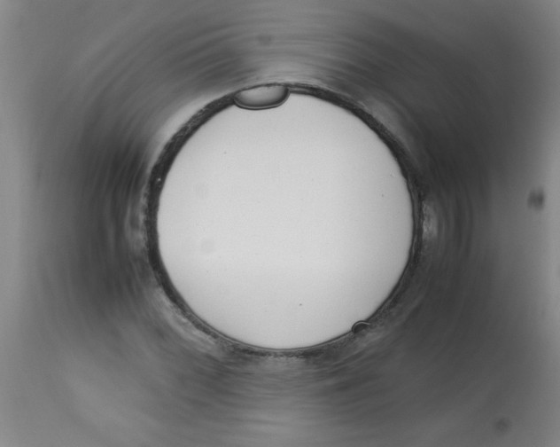 X0000113751068200910211141