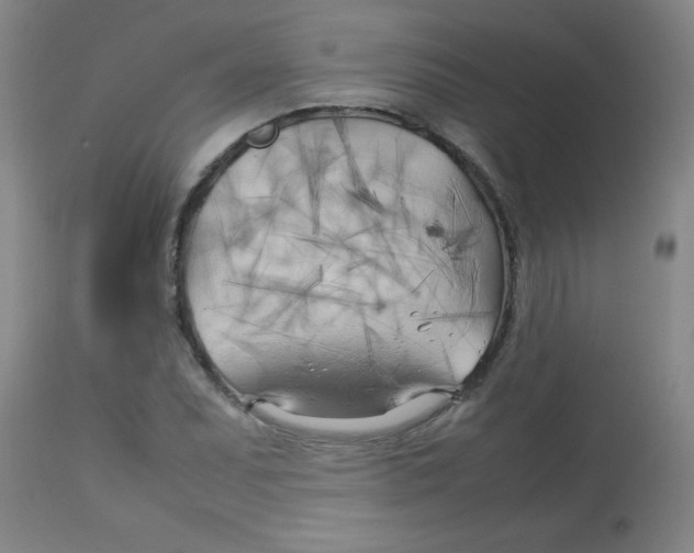 X0000113751071200910211141