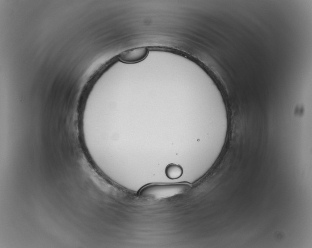 X0000113751072200910211141