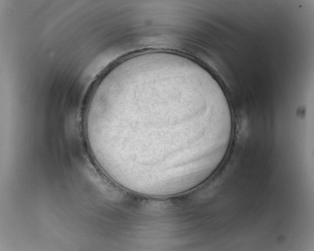 X0000113751074200910211141