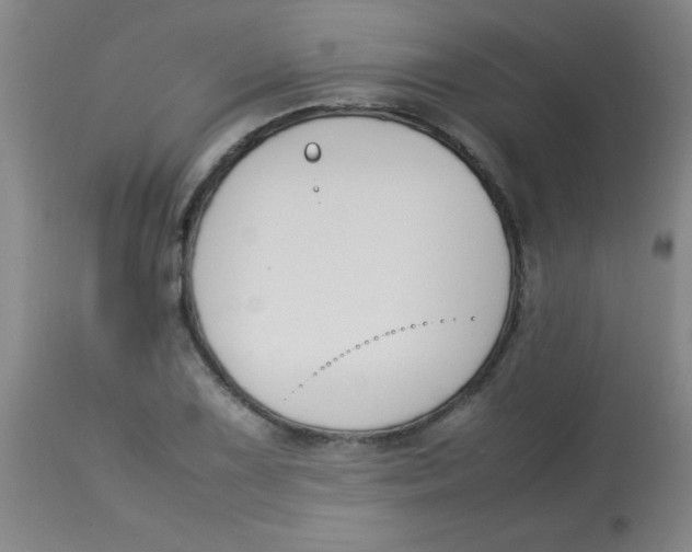 X0000113751075200910211141