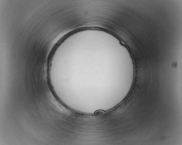 X0000113751076200910211141