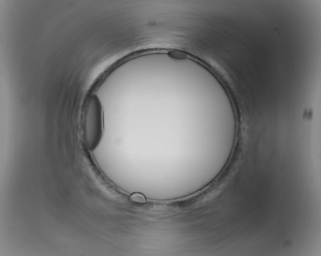 X0000113751077200910211141