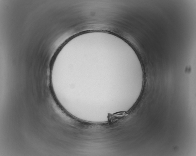 X0000113751079200910211141